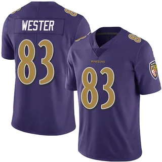 LaJohntay Wester Baltimore Ravens Youth Limited Team Color Vapor Untouchable Nike Jersey - Purple